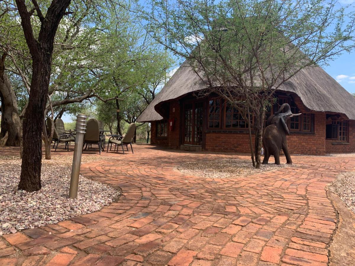 Makhato Bush Lodge 3 벨라벨라 외부 사진