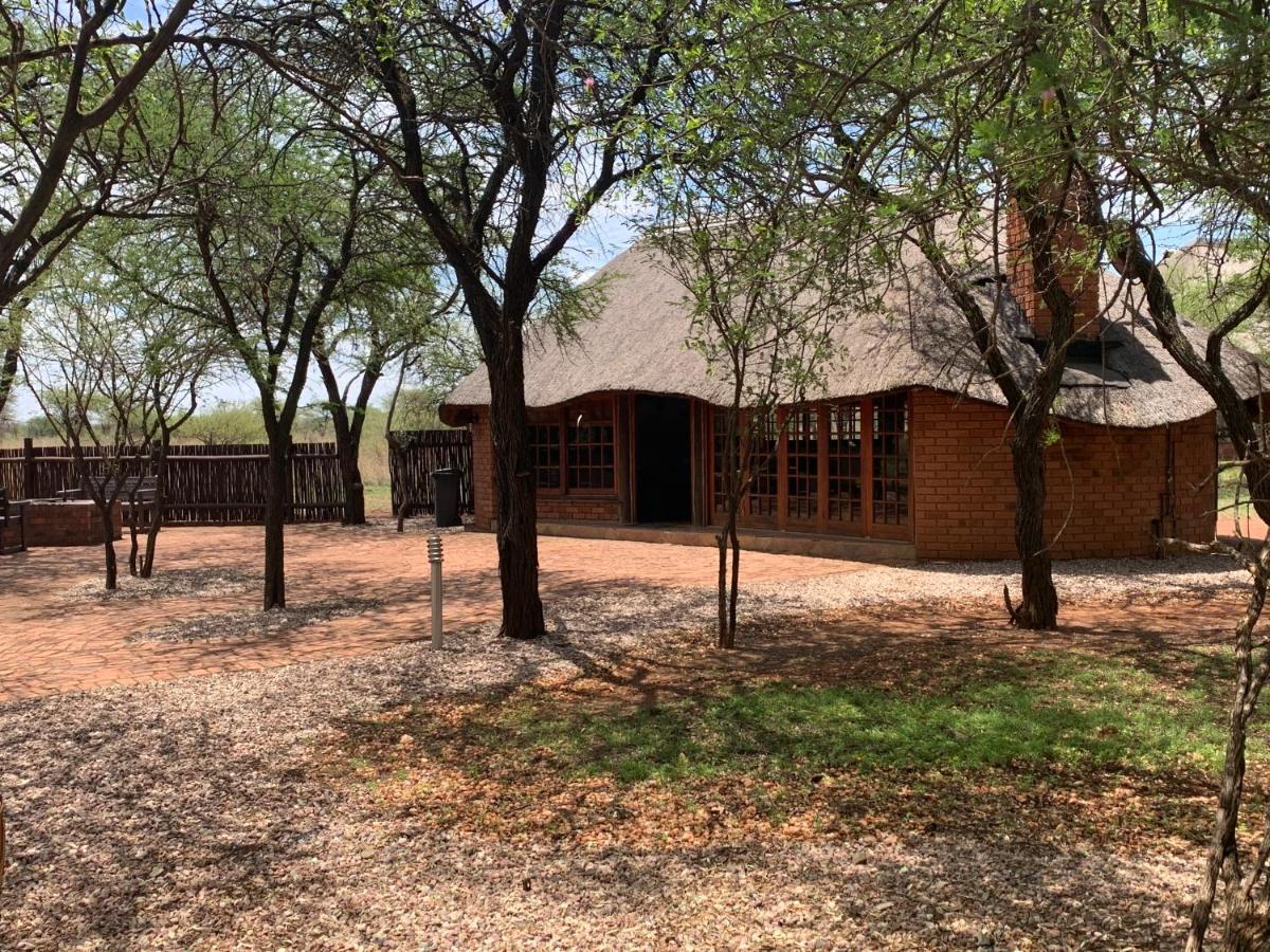 Makhato Bush Lodge 3 벨라벨라 외부 사진