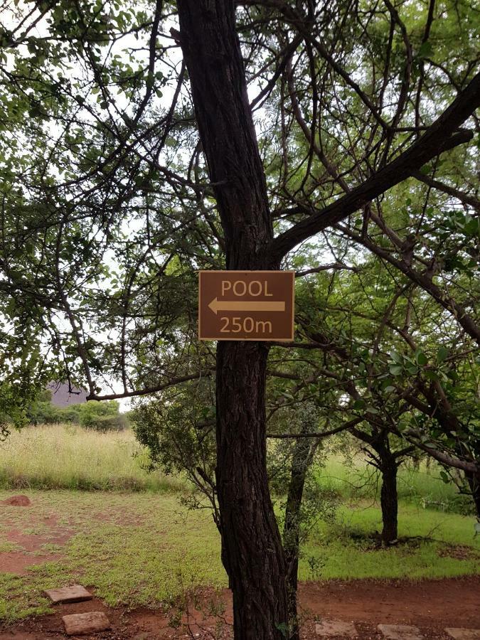 Makhato Bush Lodge 3 벨라벨라 외부 사진